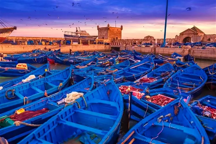 essaouira in visit morocco