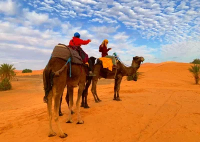 morocco to travel in morocco tours and morocco tourists in desert of morocco