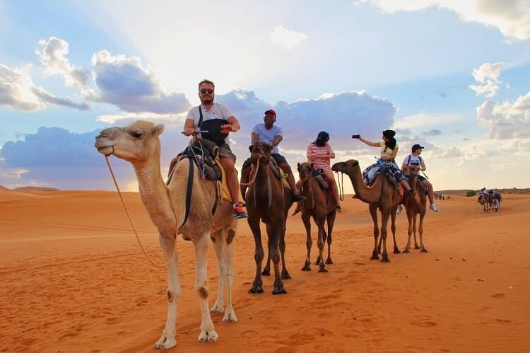 desert trips with camel trekking