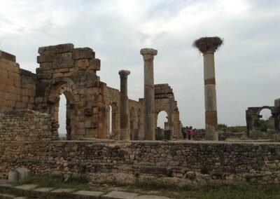 day trip from fes roman volubilis