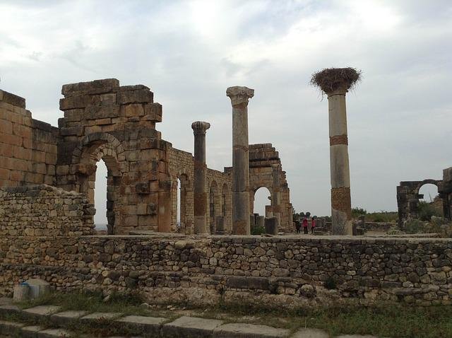 day trip from fes roman volubilis